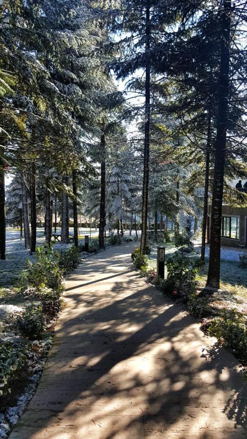 Bolu Koru Hotels Spa & Convention Yolcati  Екстер'єр фото