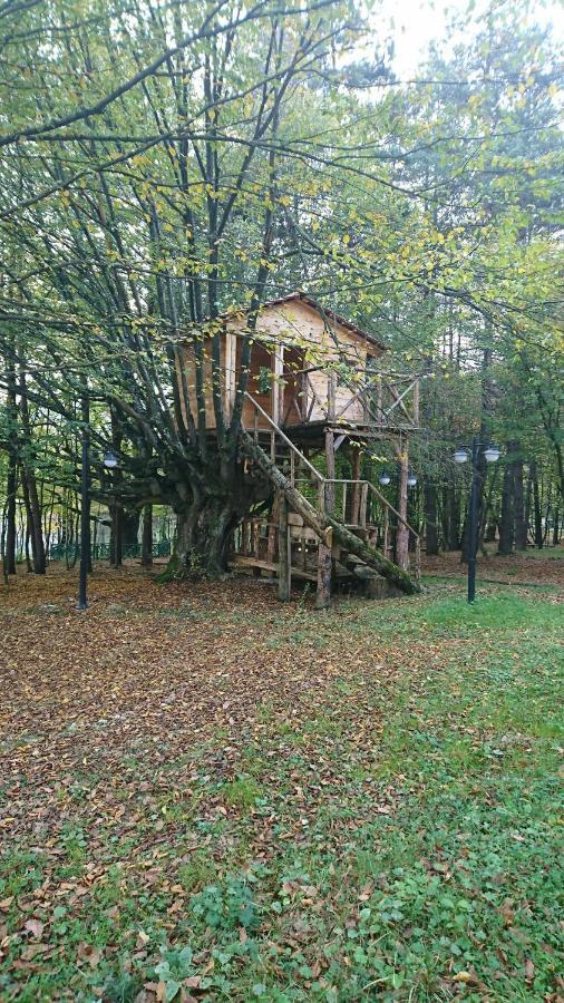 Bolu Koru Hotels Spa & Convention Yolcati  Екстер'єр фото